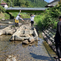 ブログ