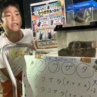 ブログ