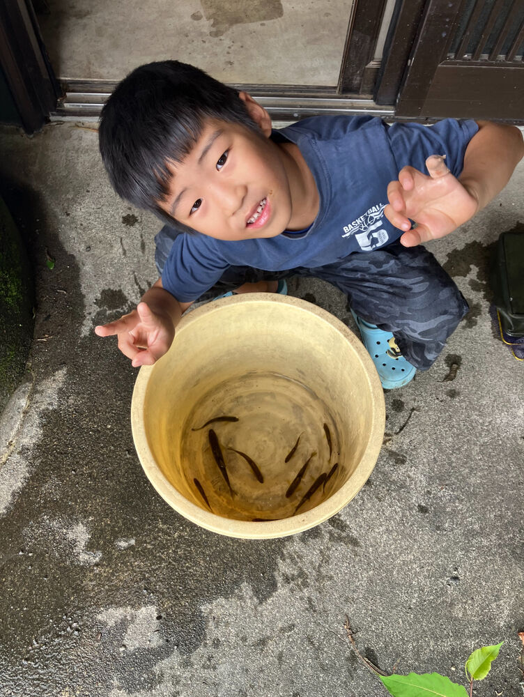 ブログ