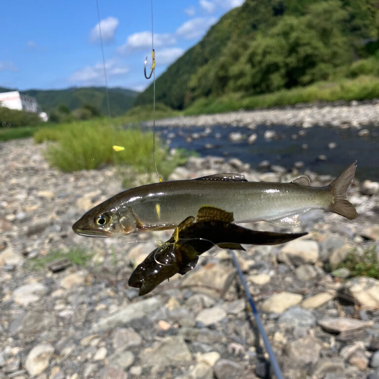 ブログ